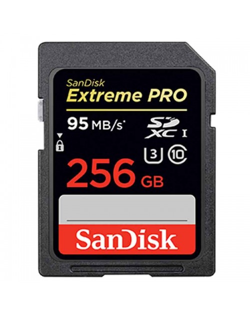 SanDisk SD Extreme Pro 256Gb 95Mb/s